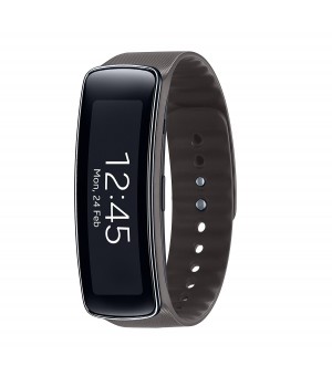 Samsung Galaxy Gear Fit