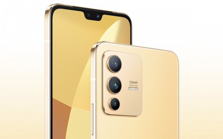 vivos12-2.jpg