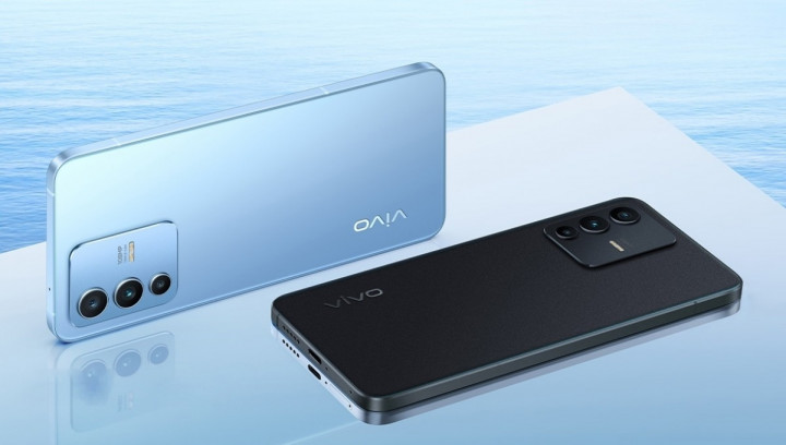 vivos12-3.jpg
