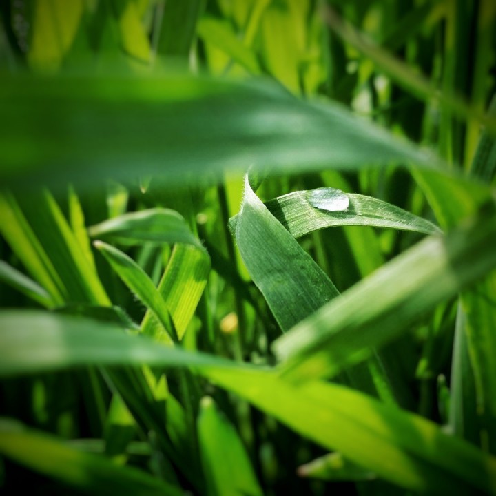 m-photo5.jpg