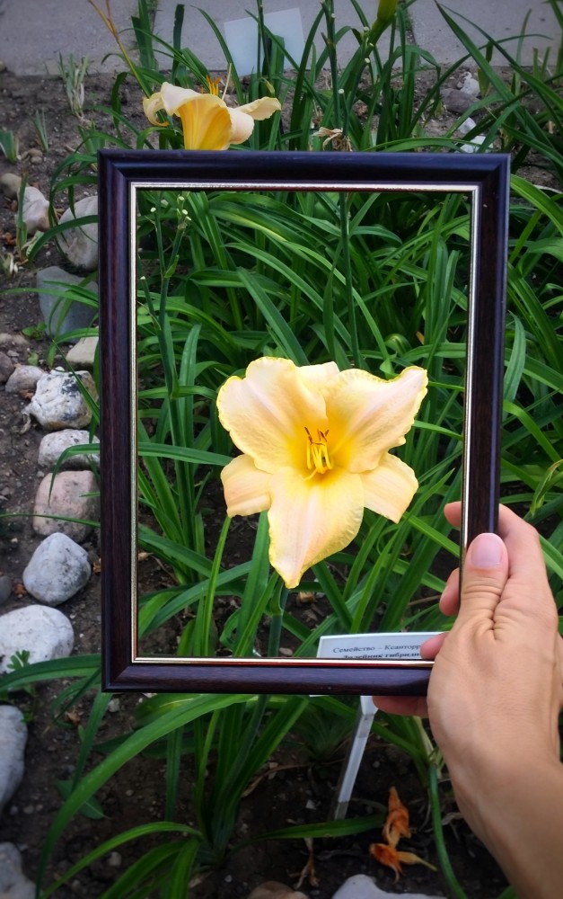 m-photo8.jpg