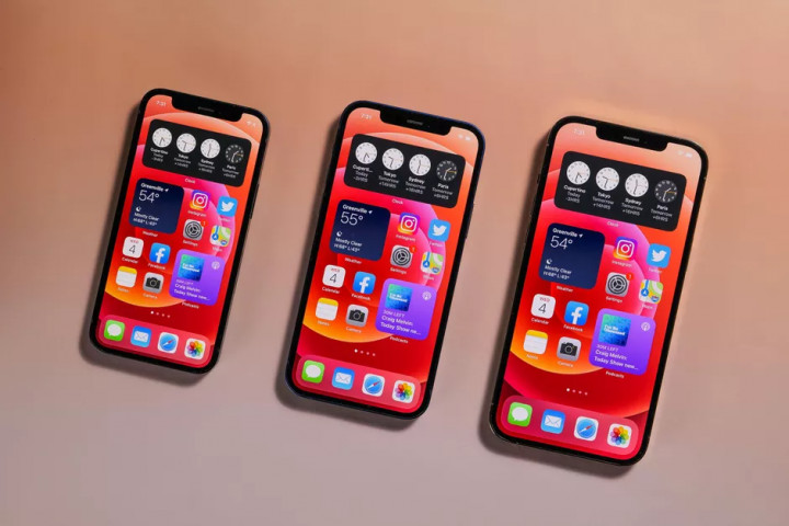28-iphone-12-mini-and-iphone-12-pro-max.