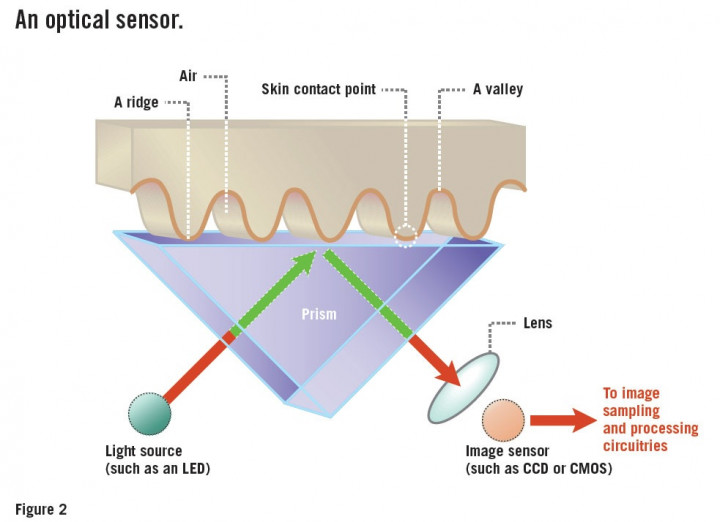 optical-fingerprint-scanner.jpg