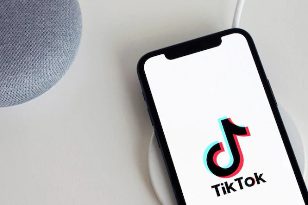 Как скачать видео из Тик Ток: 6 способов